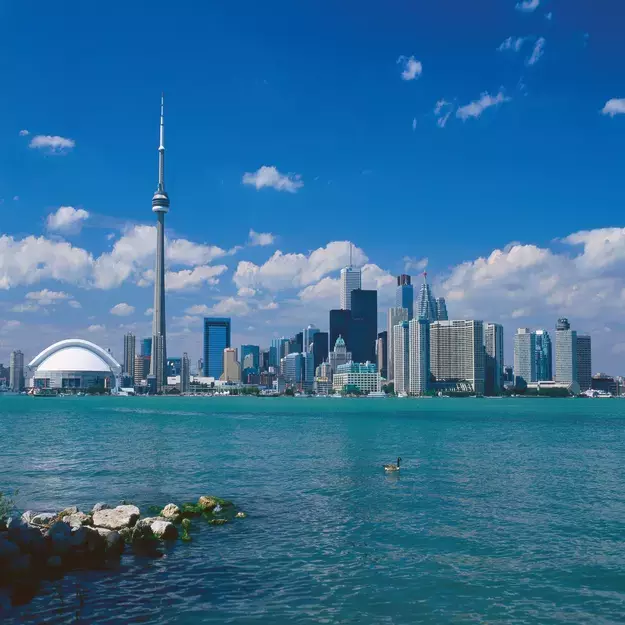 Visuel Tutorat Pro: CN Tower rest skyline Toronto world structure 625x625 1