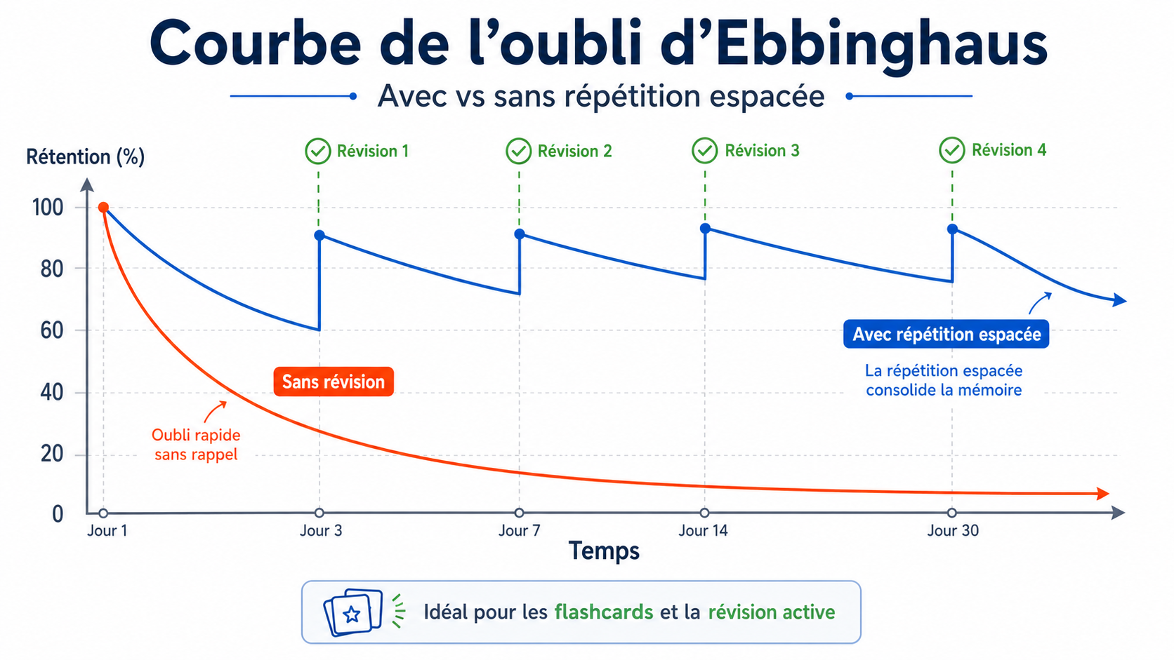 Visuel Tutorat Pro: courbe